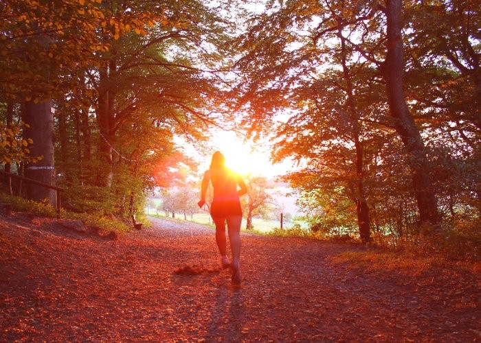 Die richtige Laufausrüstung für den Herbst