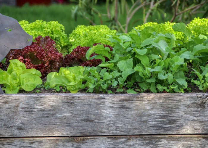 Hochbeet kaufen: Darauf sollten Sie achten