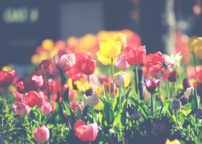 Holen Sie Ihre Gartenmöbel aus der Winterpause!