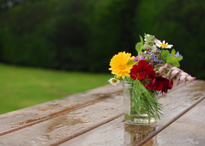 Ihre Grillparty fällt ins Wasser – was nun?