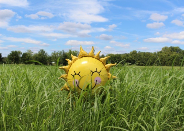 Sonnenschutz für Ihre Kleinen